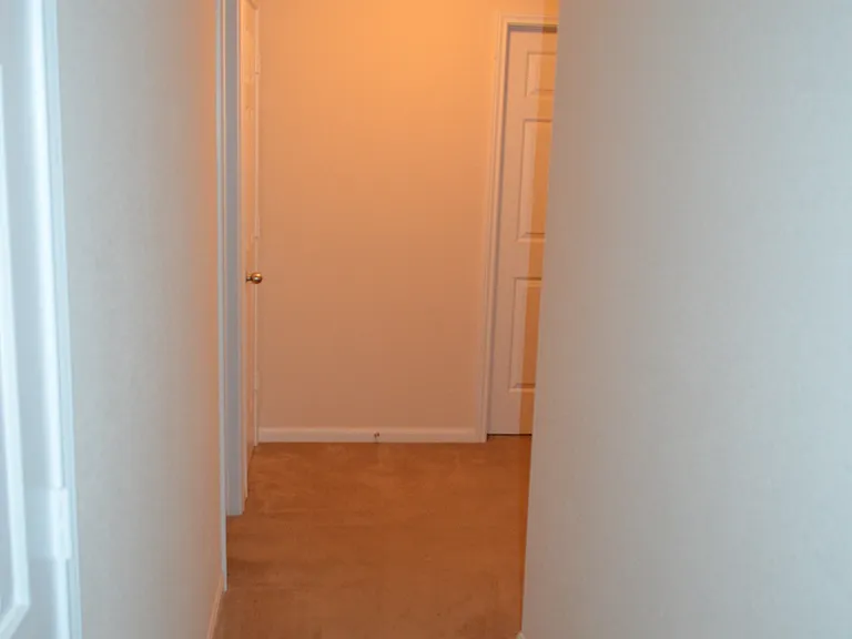507 Cattail Cir — Photo 4