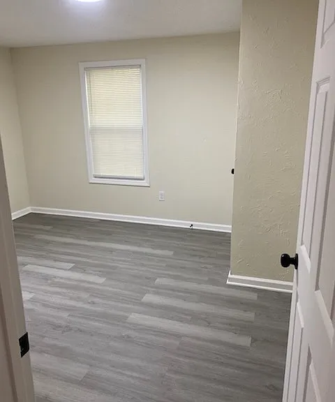 541 Woodbine St #2 — Photo 3