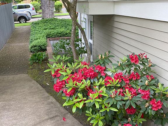 2nd image of 7406 2nd Ave NE #202