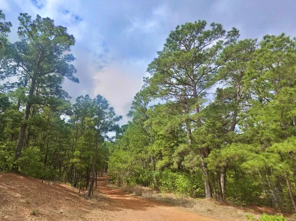 0 Pine Oak Ests, Bastrop, TX 78602