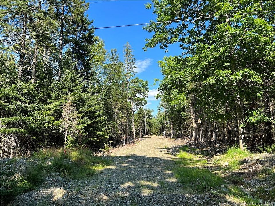 2nd image of Hills Point Rd