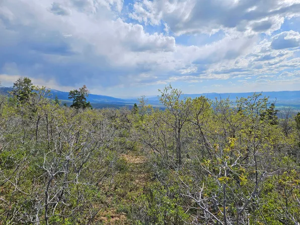 1246 E North Fork Rd S, Fairview, UT 84629