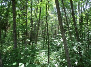 Coyote Trl, Frederic, MI 49733