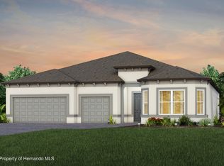 16739 Harvest Leaf Rd, Spring Hill, FL 34610