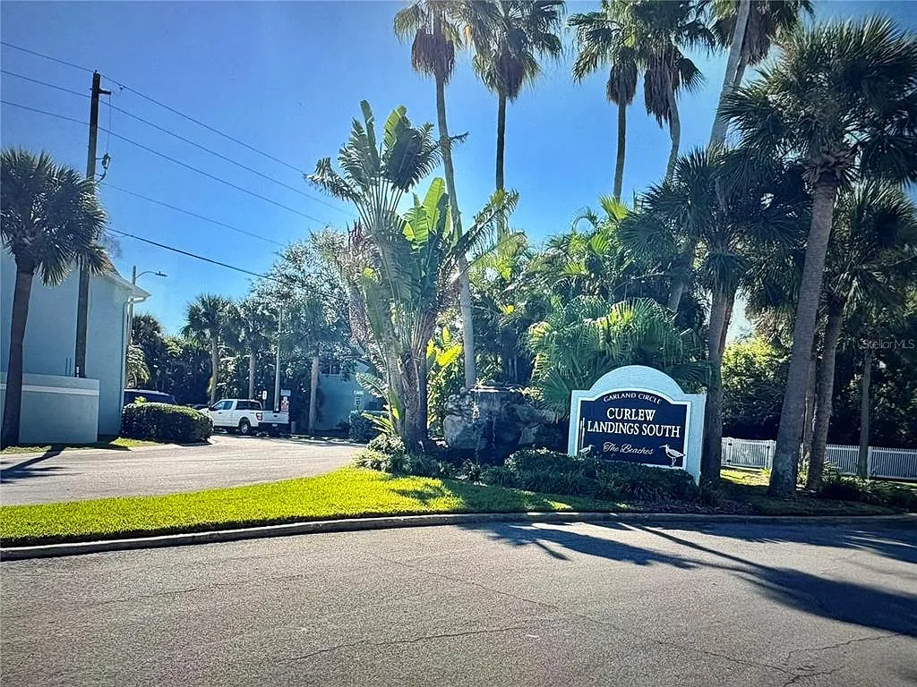 3 bed, 2.0 bath, 1566 sqft, $4,300 — Photo 3