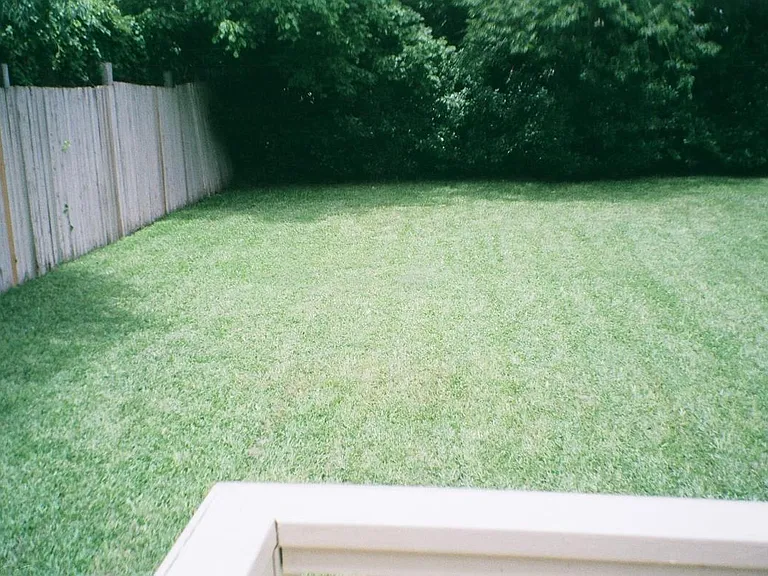 Backyard from porch