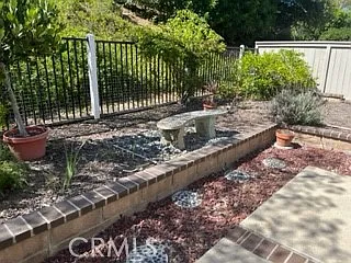 15 Elderberry — Photo 128