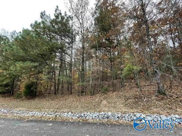 25 Timberlake Dr, Union Grove, AL 35175