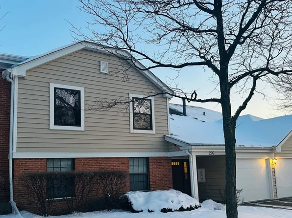 299 Pembridge Ln, Schaumburg, IL