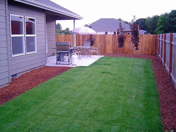 Back yard