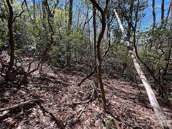 3rd image of 99999 Summer Haven Rd