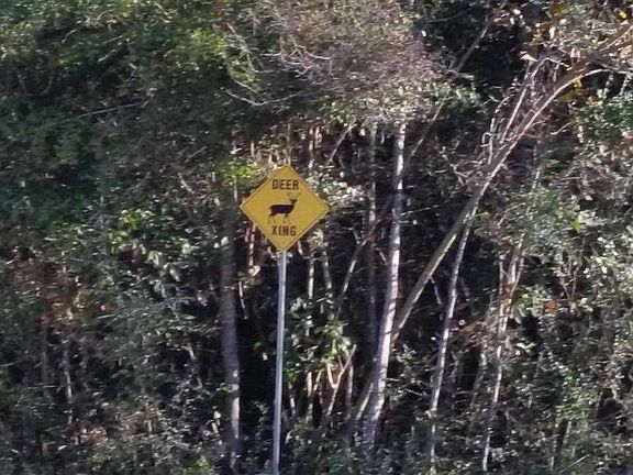 2nd image of 2.08 Pine Lake Dr