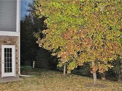 3rd image of 8302 Westown Pkwy Unit 7106