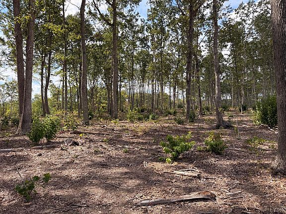 5th image of 0 Long Island Rd Lot 88A-2-1
