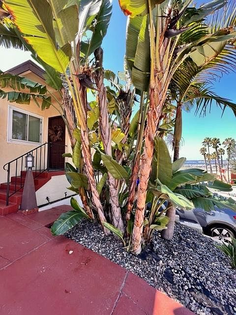 1st image of 1021 W Palm St #1021