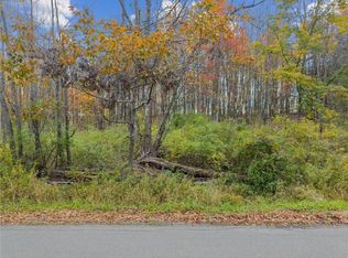 0 Dawson Hill Rd, Spencer, NY 14883