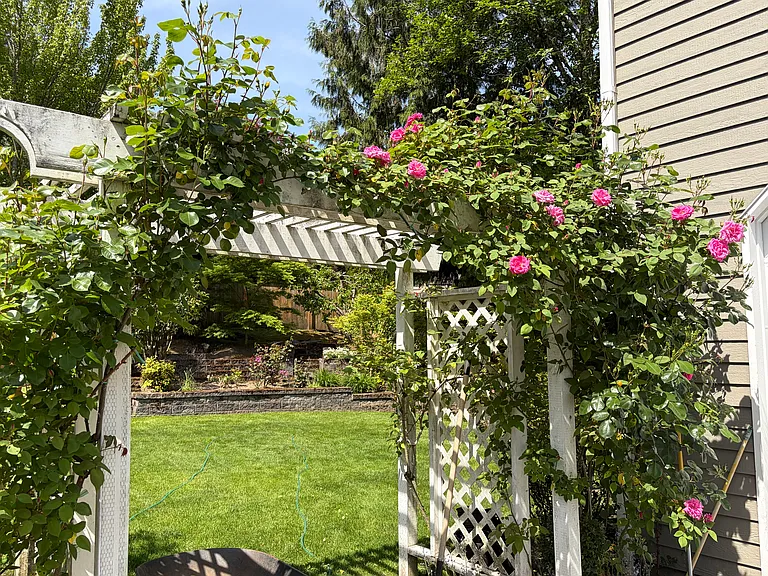 Landscaped backyard