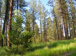 Ruff Road, Tonasket, WA 98855