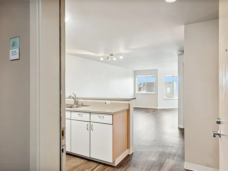 Lake Union Terrace — Photo 29