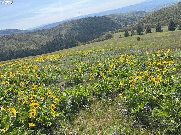 2nd image of 60 Hartwig Rd