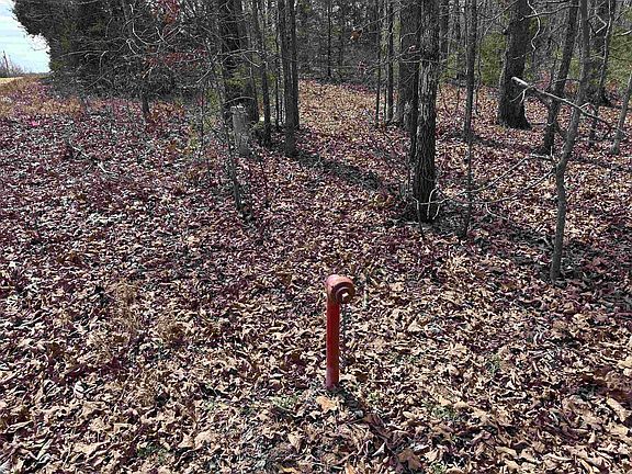 2nd image of Claxton Rd