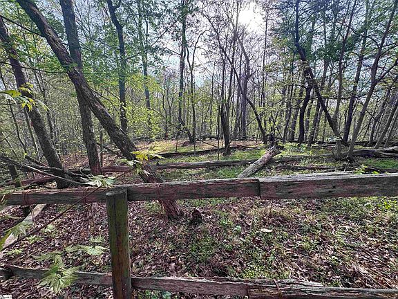 5th image of 100 Chestnut Mountain Rd