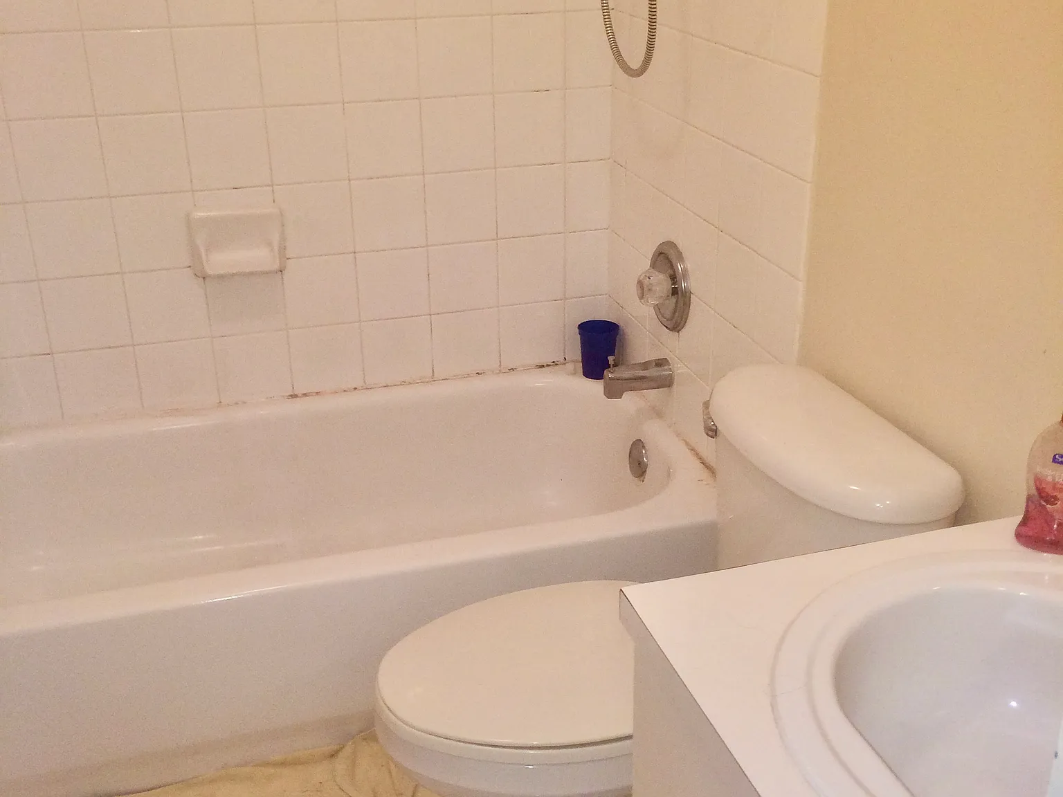3 bed, 2.5 bath, 1150 sqft, $2,900 — Photo 2