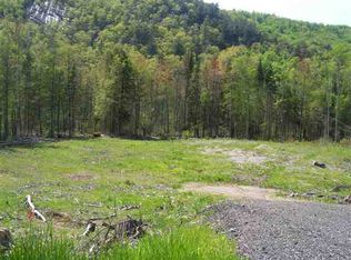 0 Route 28, Minerva, NY 12851