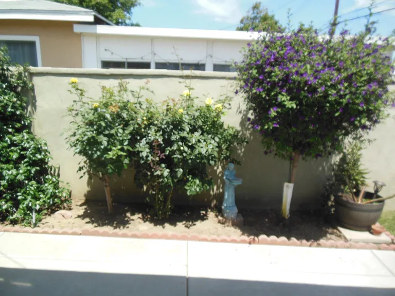 447 Melham Ave — Photo 29