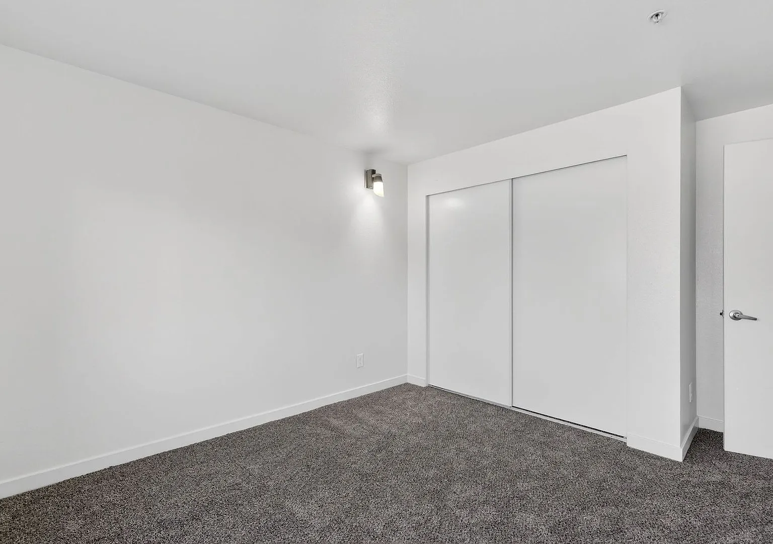 Irish Moss Apartments — Photo 3