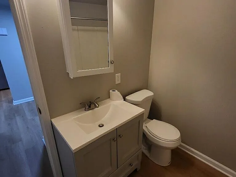 New vanity and toilet