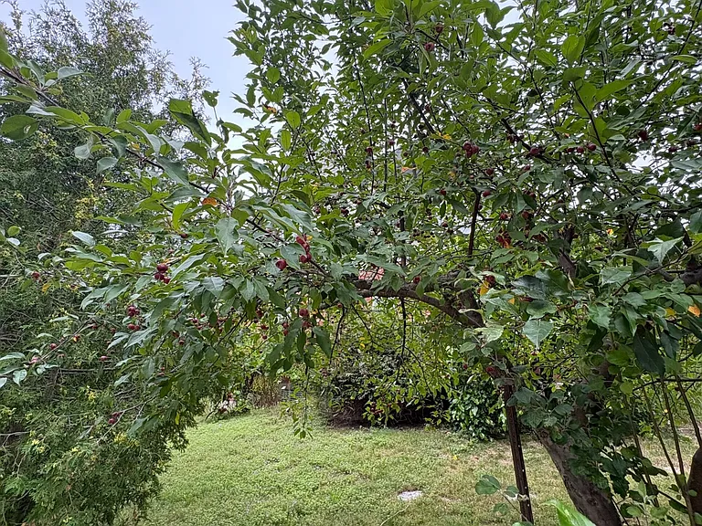 2 Woodcrest Ct — Photo 33