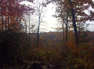 Deepwell Rd, Nettie, WV 26681