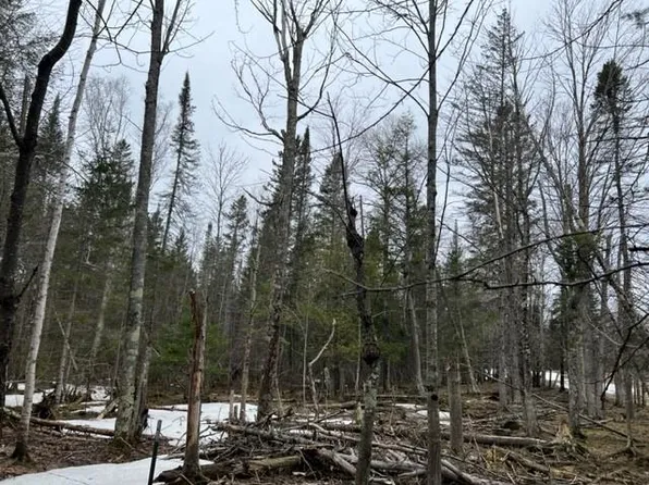 Schauman Road, Armstrong Creek, WI 54103