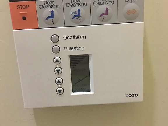 Toto bidet in master 