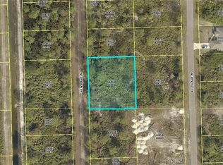 6010 Rena Ave N, Lehigh Acres, FL 33971