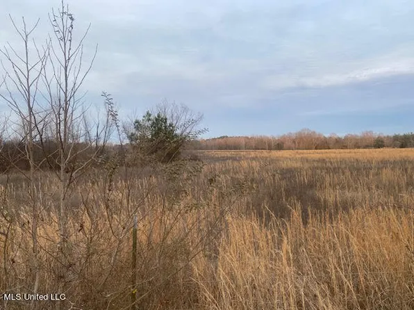 No Cothern Rd, Holly Springs, MS 38635