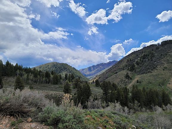 4th image of 11607 E Middle Fork Dr