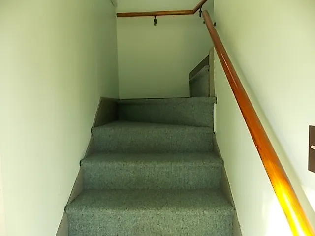 1 bed, 800 sqft, $725 — Photo 4