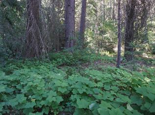 313 Nugget Ln, Quincy, CA 95971