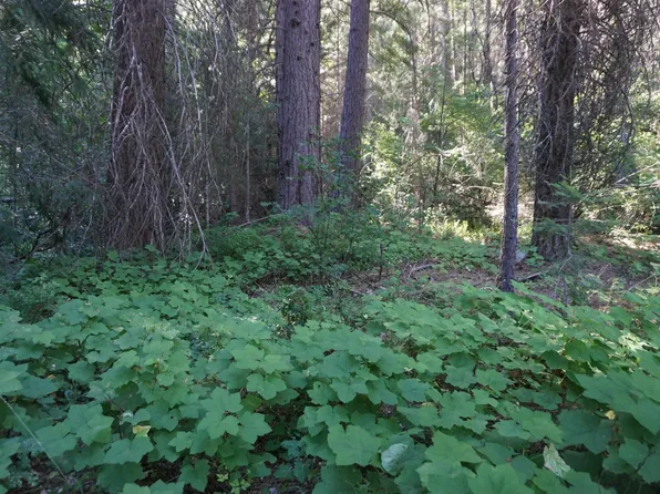 313 Nugget Ln, Quincy, CA 95971