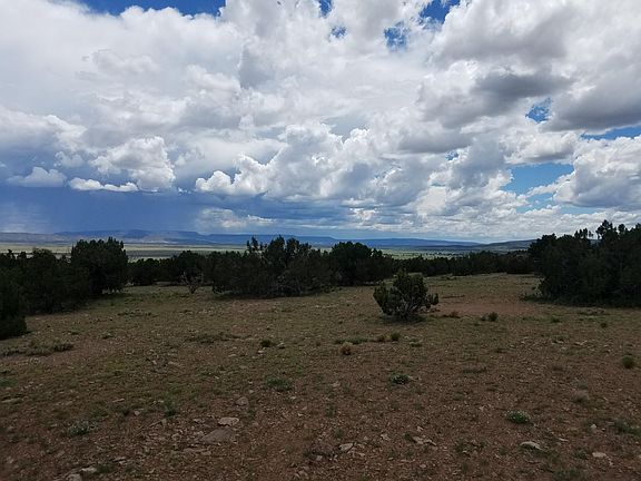 4th image of Camino De Silvestre