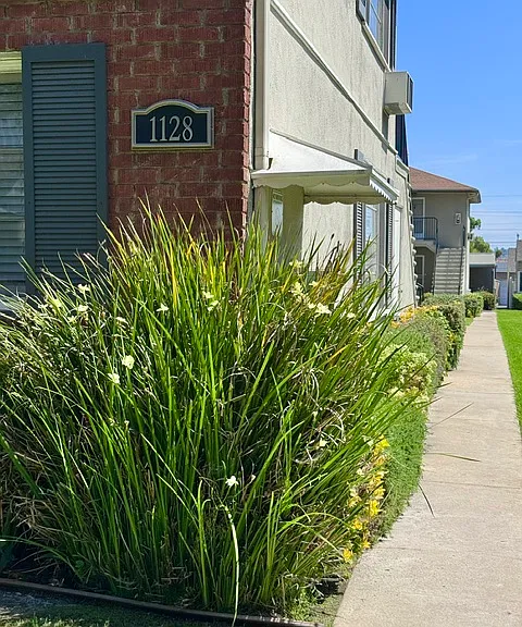 1128 E Lexington Dr #6 — Photo 11