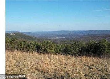 Left side of Cleared SIte