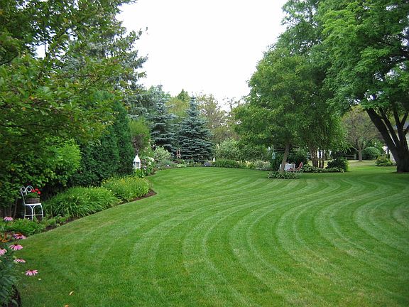 Back Yard Looking South