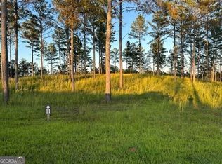 1362 High River Rd, Ellijay, GA 30540