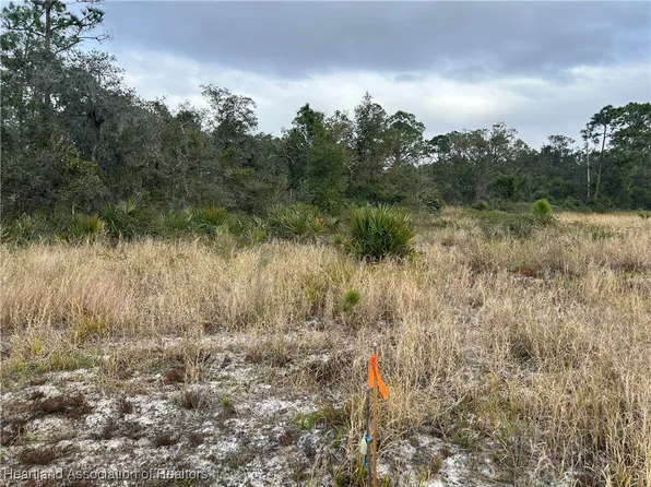 Crawford Ct, Sebring, FL 33875