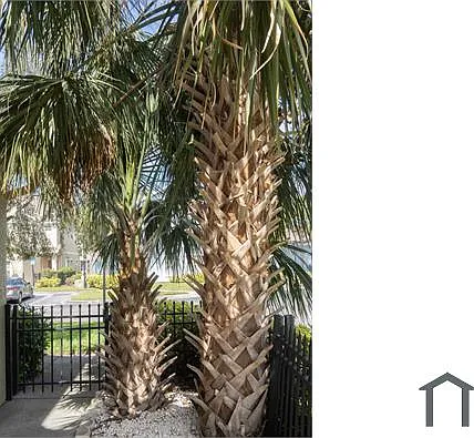 10983 Winter Crest Dr — Photo 11