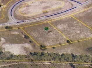 11356 Woodland Waters Blvd, Weeki Wachee, FL 34613