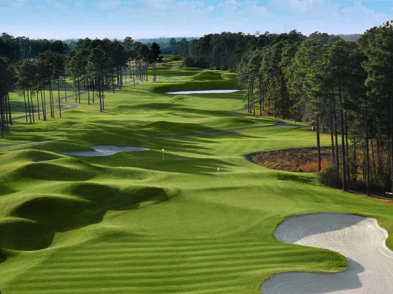 1010 Tee Shot Dr — Photo 20